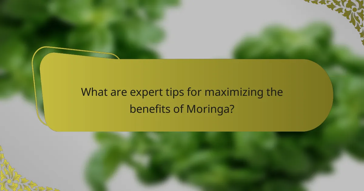 What are expert tips for maximizing the benefits of Moringa?
