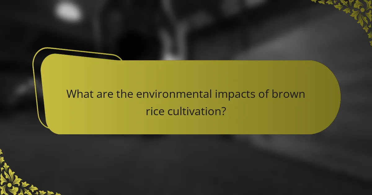 What are the environmental impacts of brown rice cultivation?