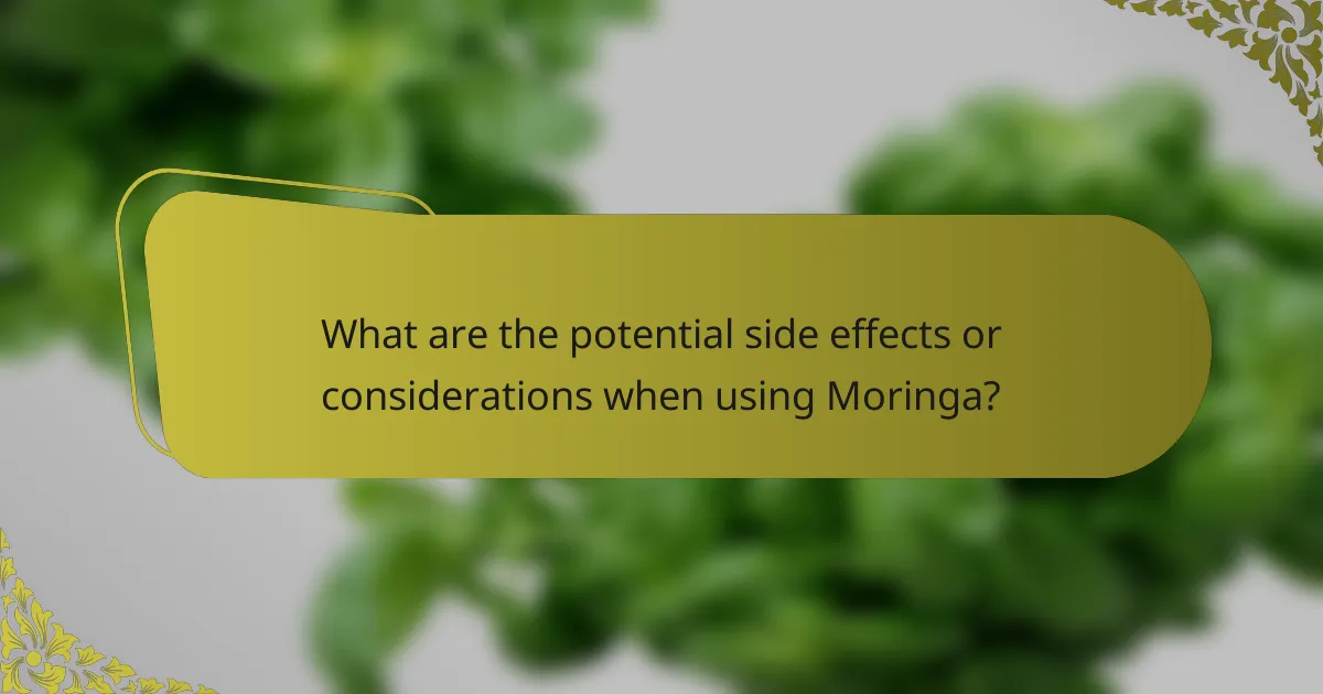 What are the potential side effects or considerations when using Moringa?