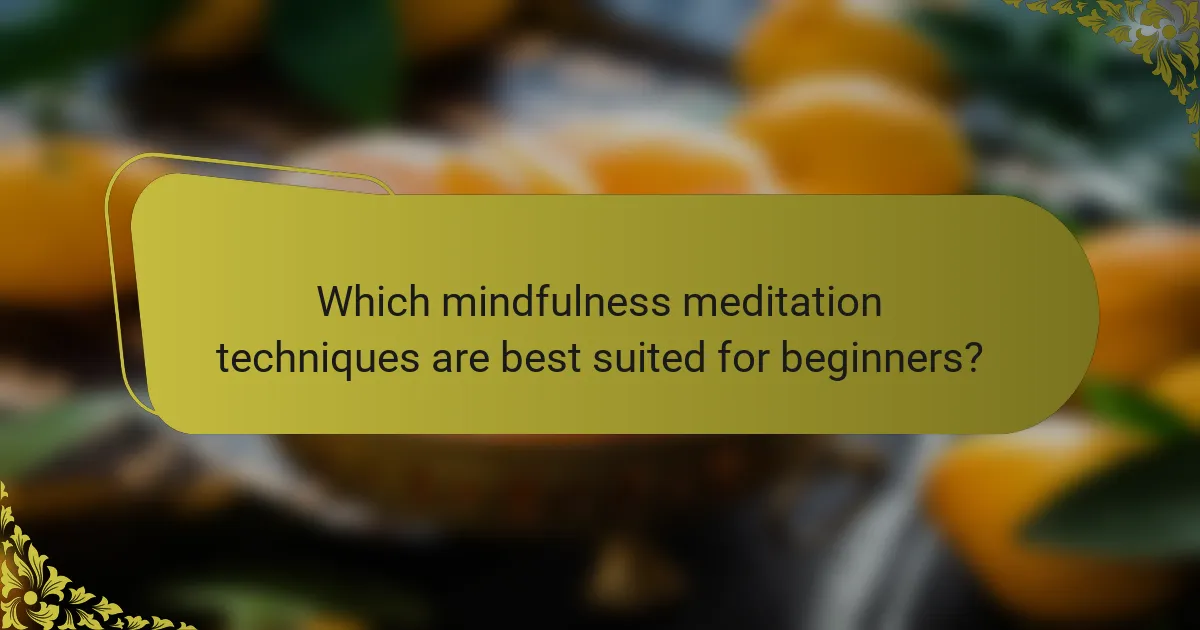 Which mindfulness meditation techniques are best suited for beginners?